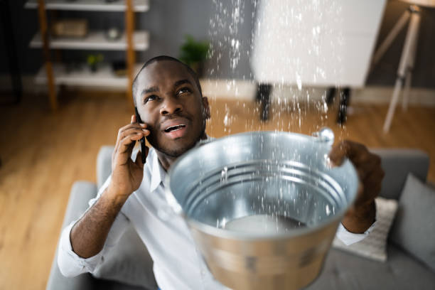 Best 24/7 water damage repair  in Lincoln, AR