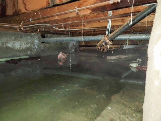 Water damage restoration mold remediation in AR