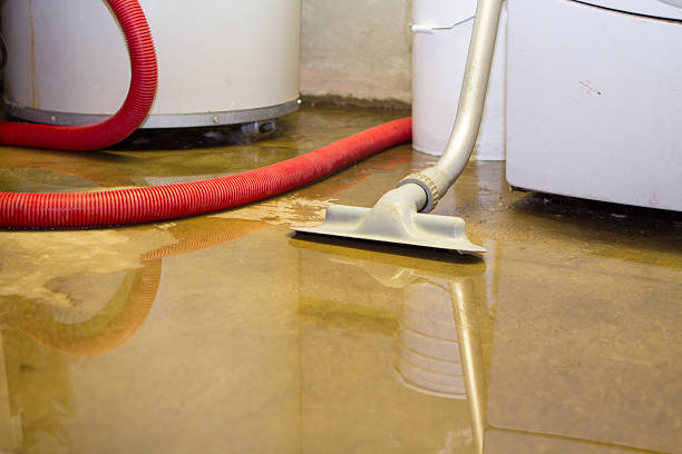 Best Water damage restoration near me  in Lincoln, AR