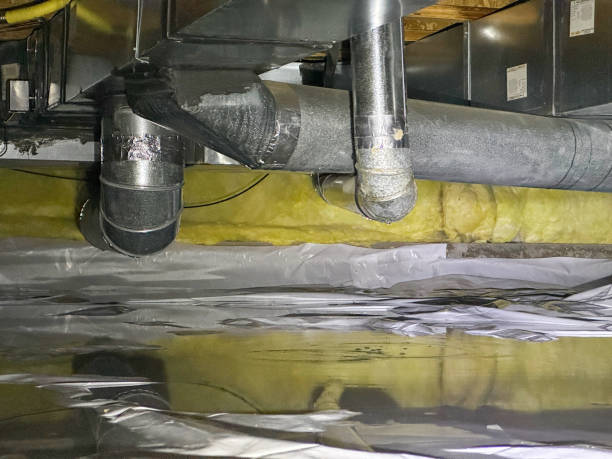 Best Local water damage restoration  in Lincoln, AR