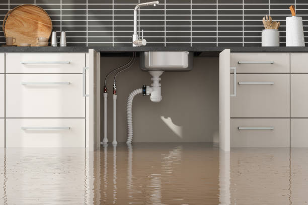 Best 24/7 water damage repair  in Lincoln, AR